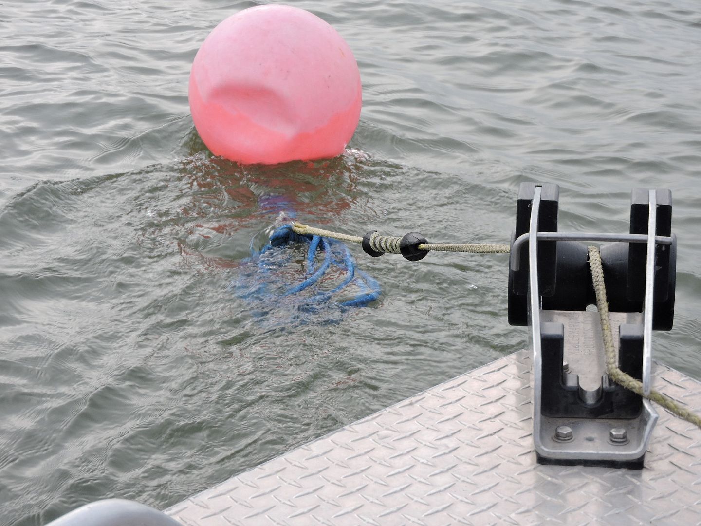 Hog Line Quick Release Anchor Setup?